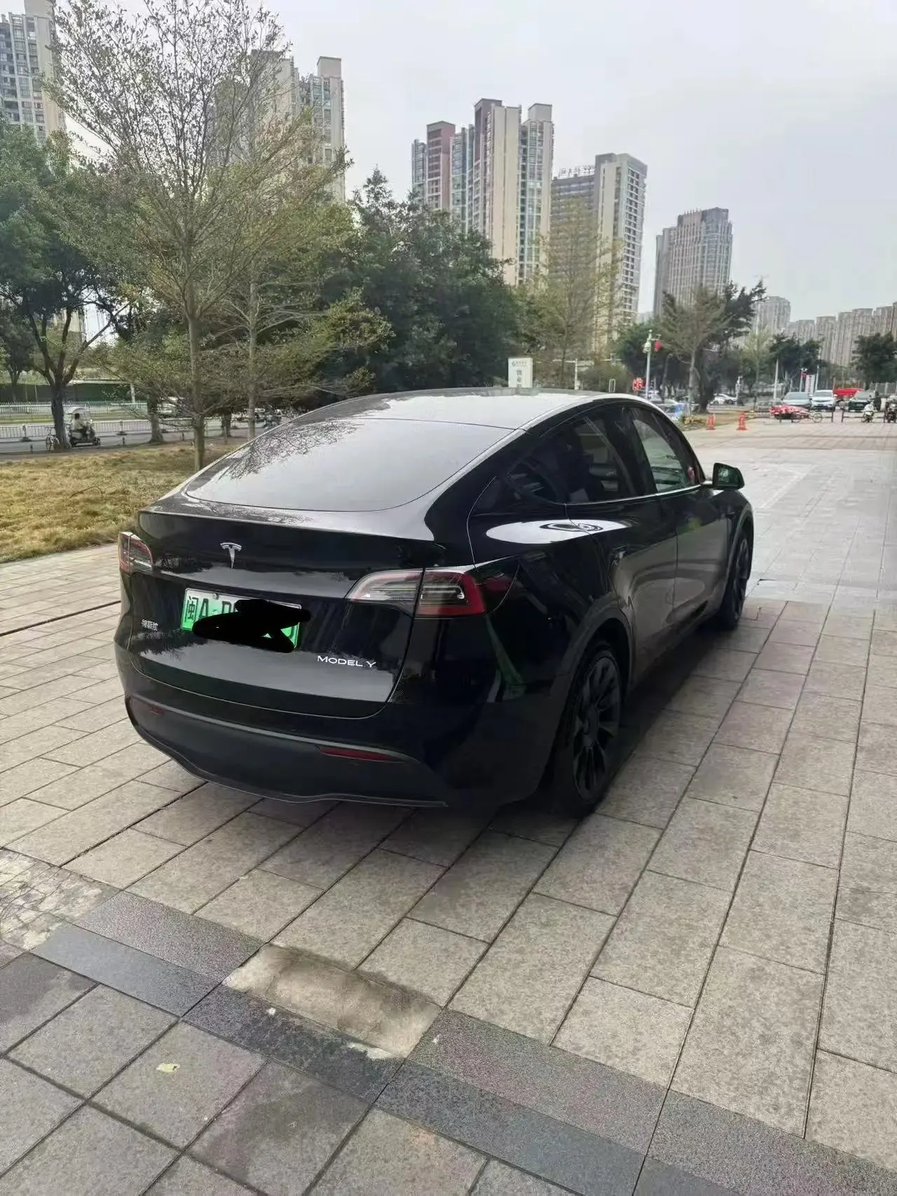 2023 Model Y Rear-Wheel Drive Version 2