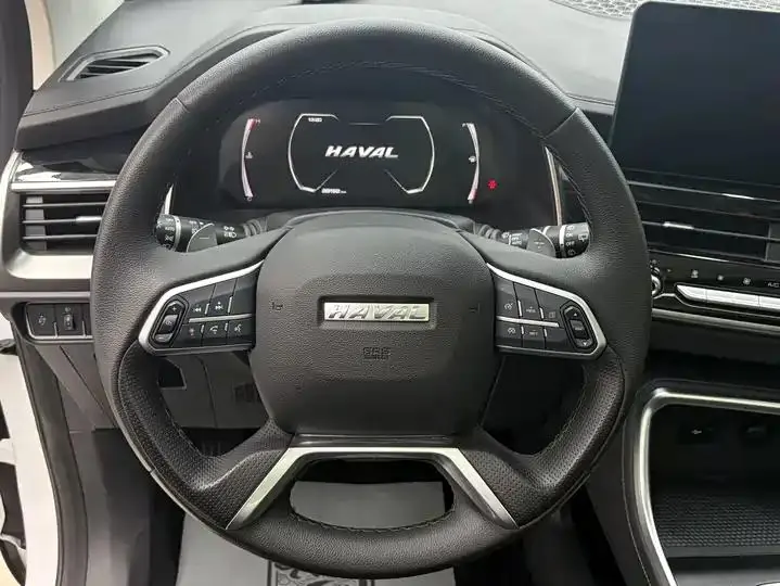 Haval H6 2021 National Tide Edition 1.5T Auto Champion Edition 10