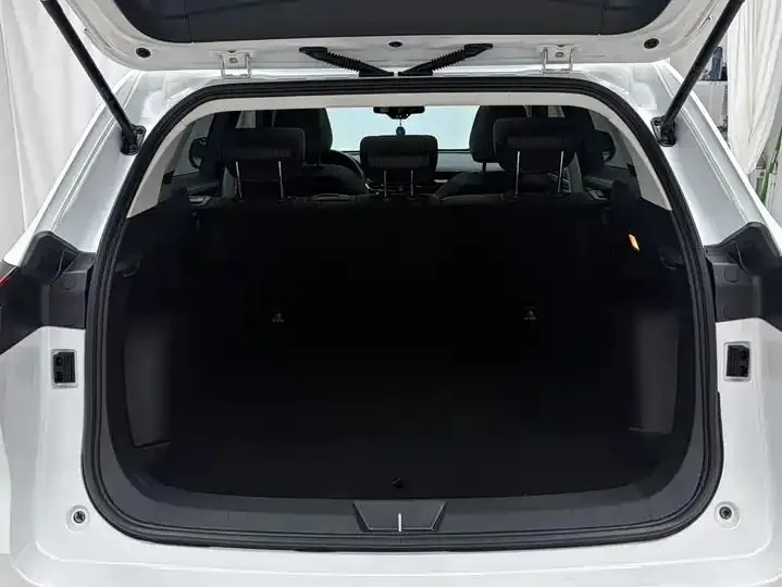 Haval H6 2021 National Tide Edition 1.5T Auto Champion Edition 17