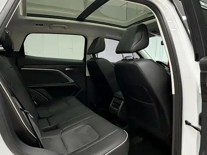 Haval H6 2021 National Tide Edition 1.5T Auto Champion Edition 19