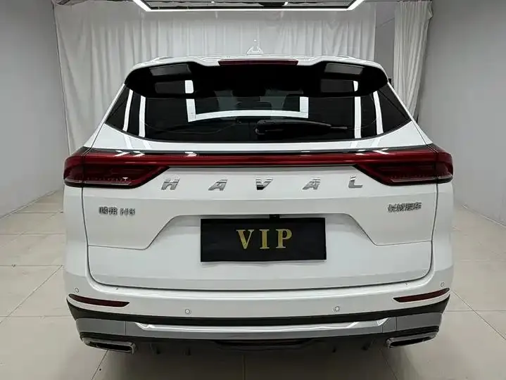 Haval H6 2021 National Tide Edition 1.5T Auto Champion Edition 5