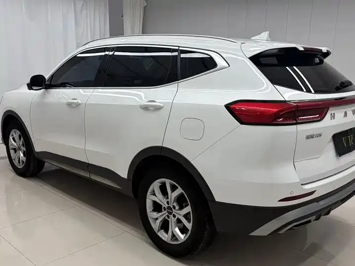 Haval H6 2021 National Tide Edition 1.5T Auto Champion Edition 6