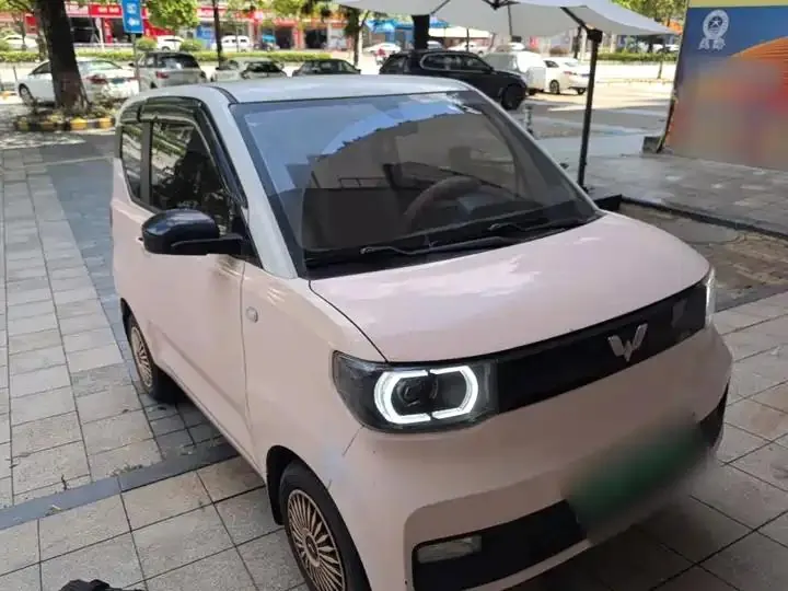 Hongguang MINIEV 2021 Macaron Zhenxiang Lithium Iron Phosphate 4