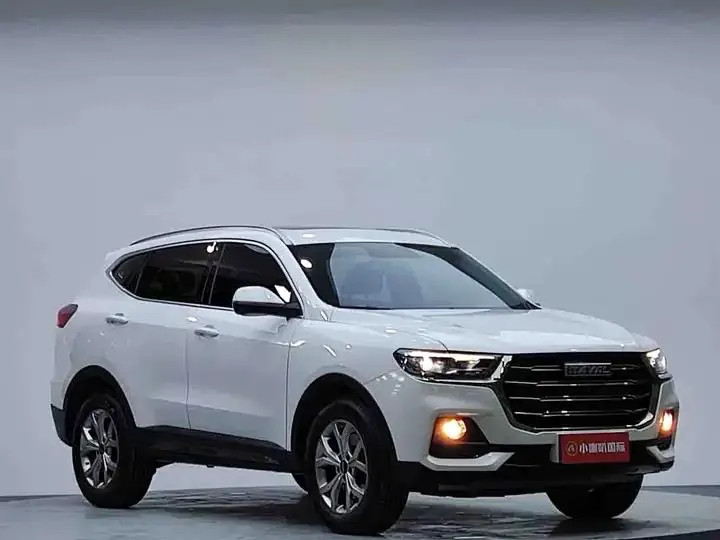 Haval H6 2021 National Tide Edition 1.5T Auto Champion Edition 3