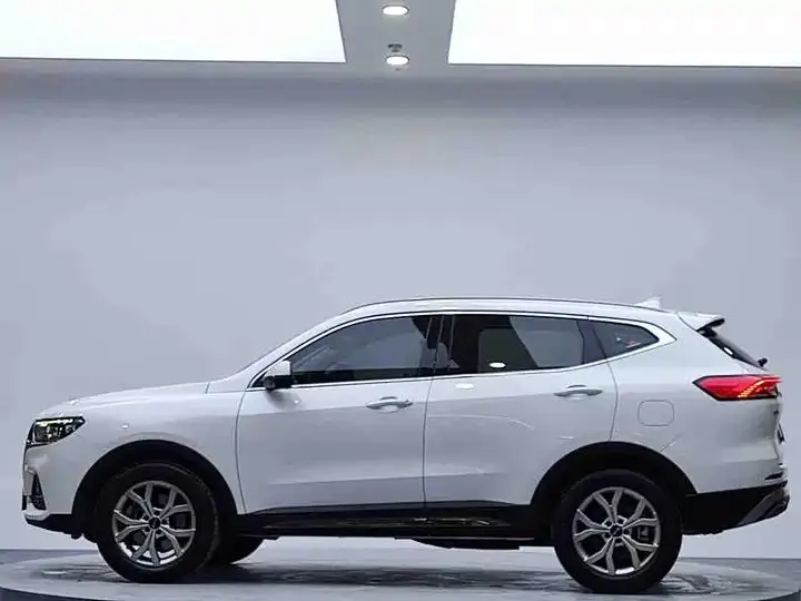 Haval H6 2021 National Tide Edition 1.5T Auto Champion Edition 4