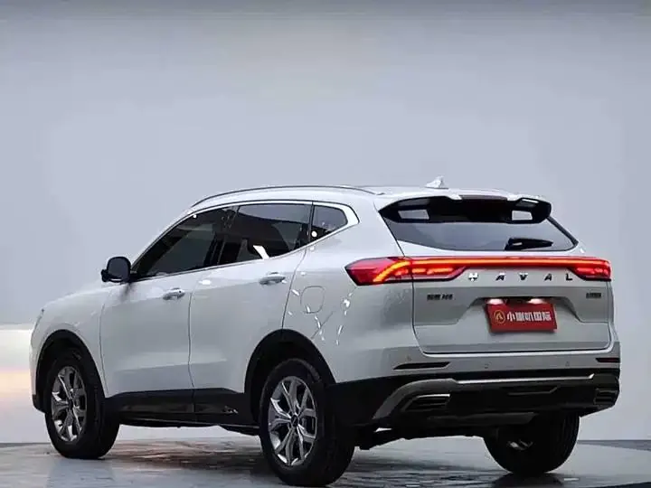 Haval H6 2021 National Tide Edition 1.5T Auto Champion Edition 5