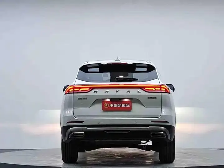 Haval H6 2021 National Tide Edition 1.5T Auto Champion Edition 6