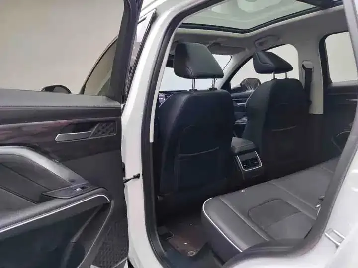 Haval H6 2021 National Tide Edition 1.5T Auto Champion Edition 7