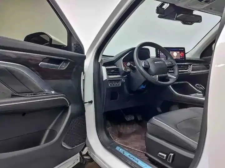Haval H6 2021 National Tide Edition 1.5T Auto Champion Edition 8