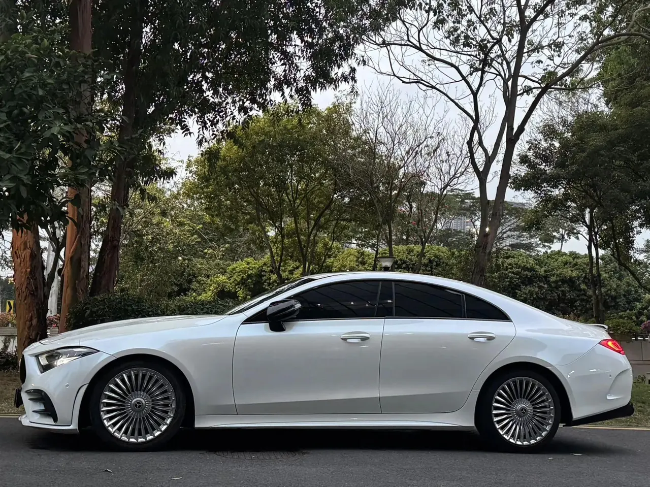 Mercedes Benz CLS 2018 CLS 300 Dynamic 3