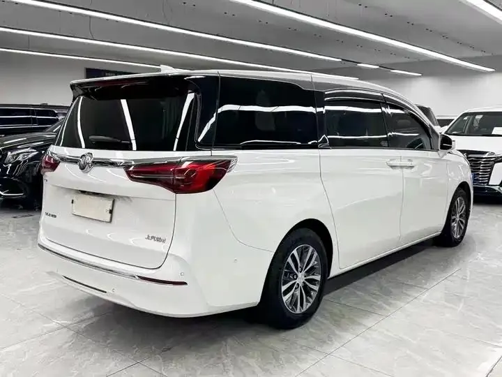 Buick GL8 2022 ES Lu Zun 653T Premium 6