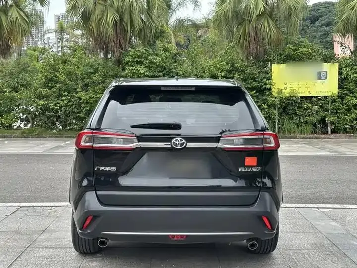 Wildlander 2023, 2.0L CVT, Two-Wheel Drive, Leading Edition 6