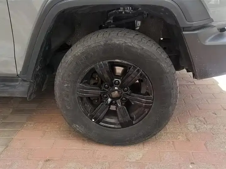 Tank 300 2021 Off-road Edition 2.0T Conqueror 6