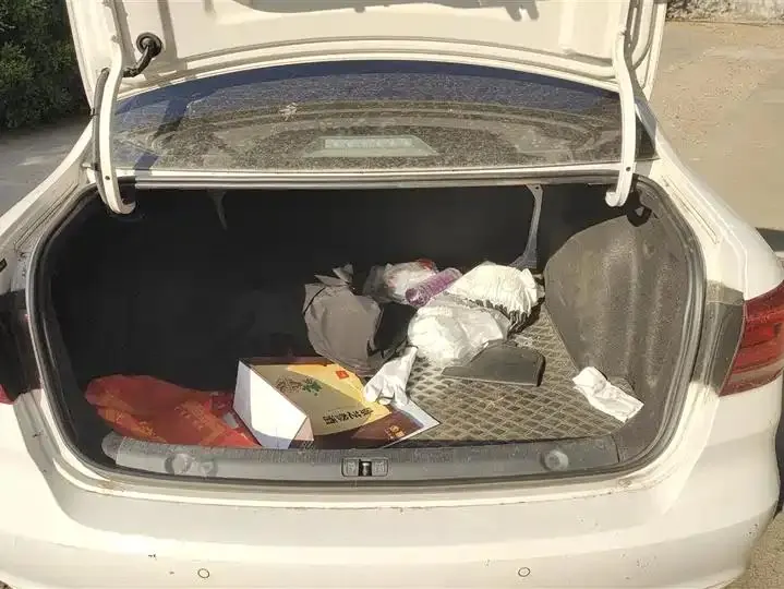 Langyi 2019 Langyi Sail 1.5L Auto Fashion Edition Country VI 4