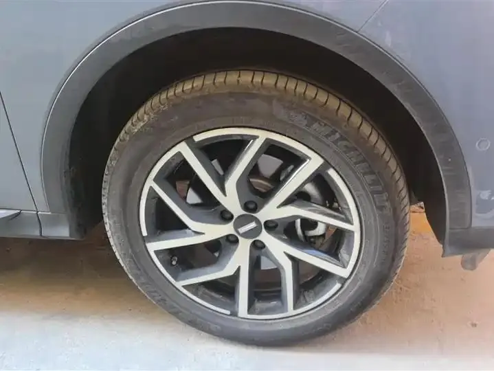 Latte DHT-PHEV 2022 1.5T two-wheel drive super cup 6