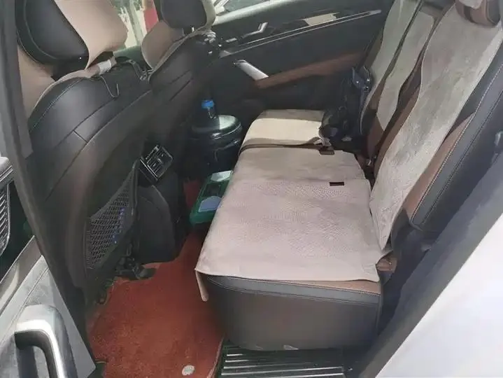 Tang New Energy 2021 DM-i 112KM Honorable Model 11