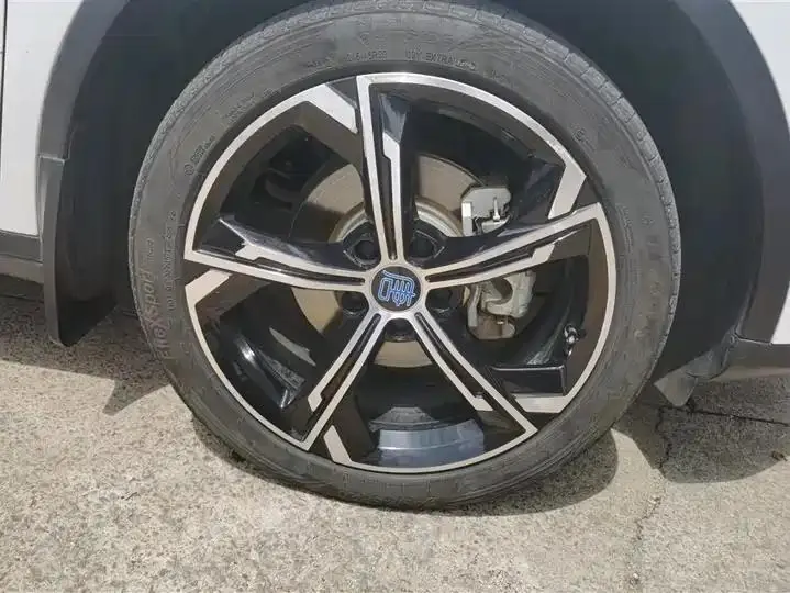 Tang New Energy 2021 DM-i 112KM Honorable Model 6