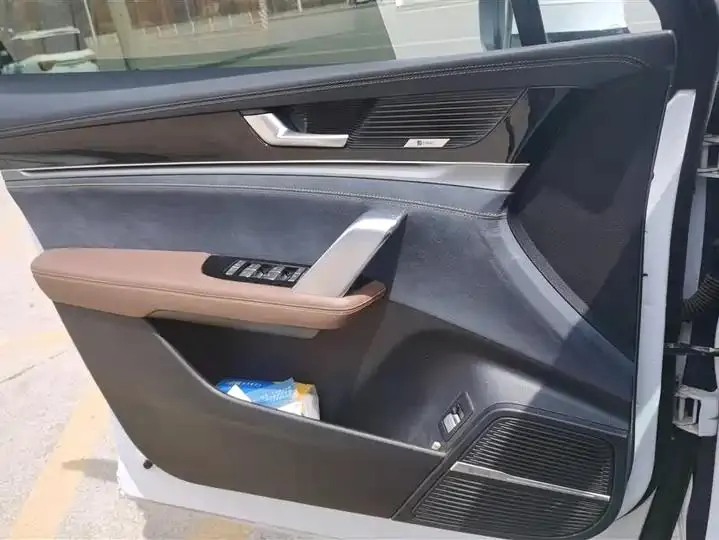 Tang New Energy 2021 DM-i 112KM Honorable Model 7