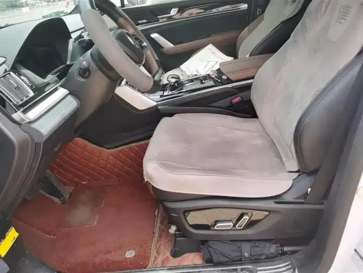 Tang New Energy 2021 DM-i 112KM Honorable Model 9
