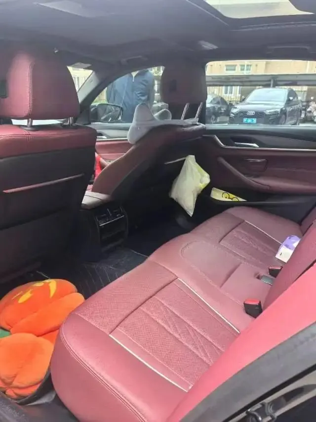 BMW 5 Series New Energy 2021 535Le Pioneer Edition M Sport Package 6