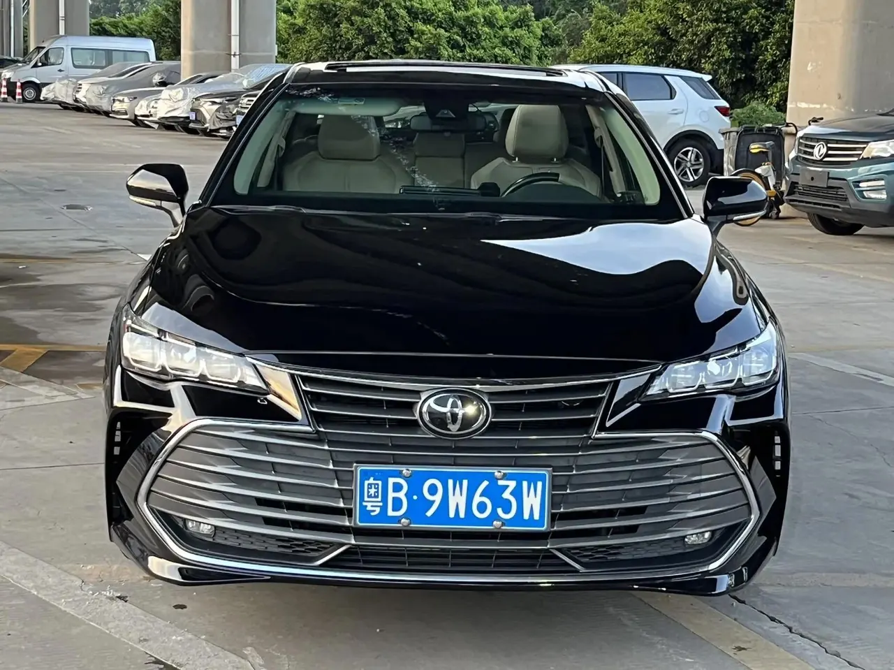 Asian Dragon 2019 2.0L Deluxe Edition Country VI 3