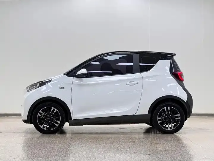 Ants 2022 sweet powder half sugar version ternary lithium 30kW 301km 4
