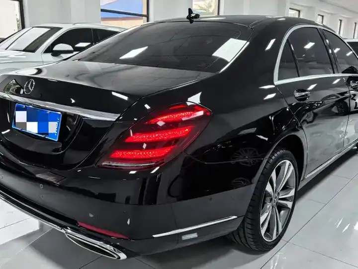 Mercedes Benz S-Class 2020 S 350 L Exclusive Tibetan Edition 4