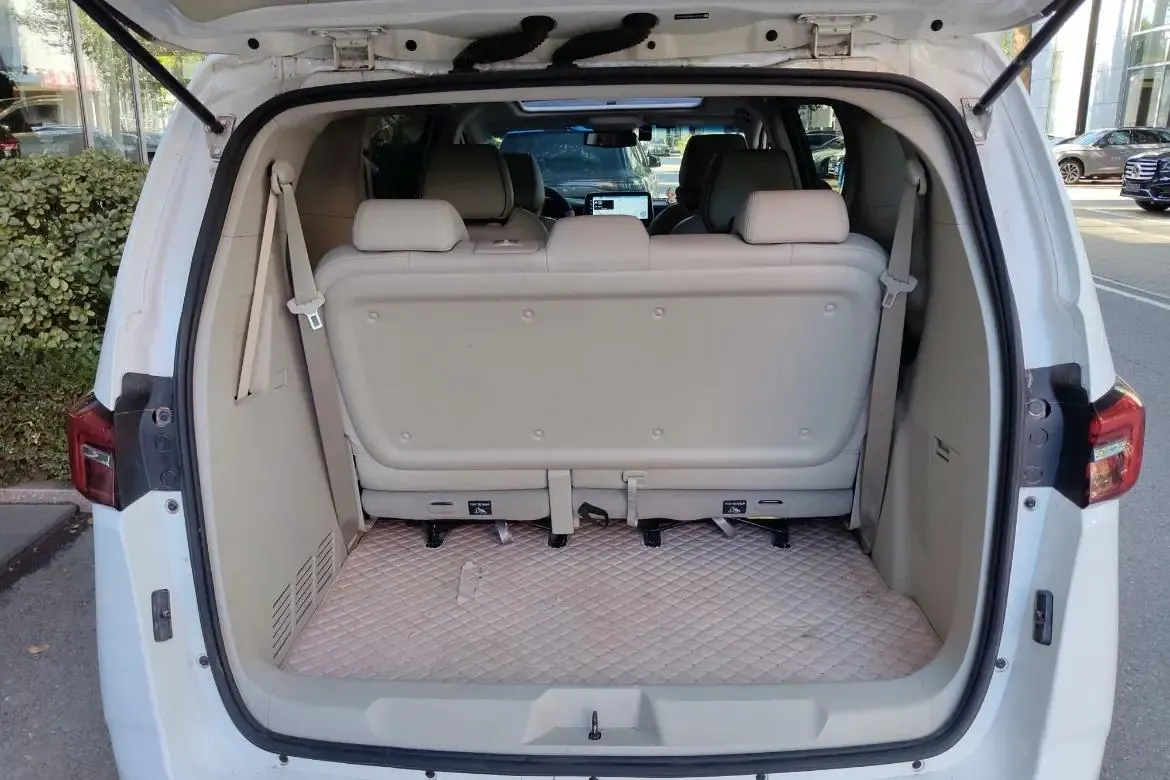 Buick GL8 2021 Land Business Class 652T Luxury Model 10