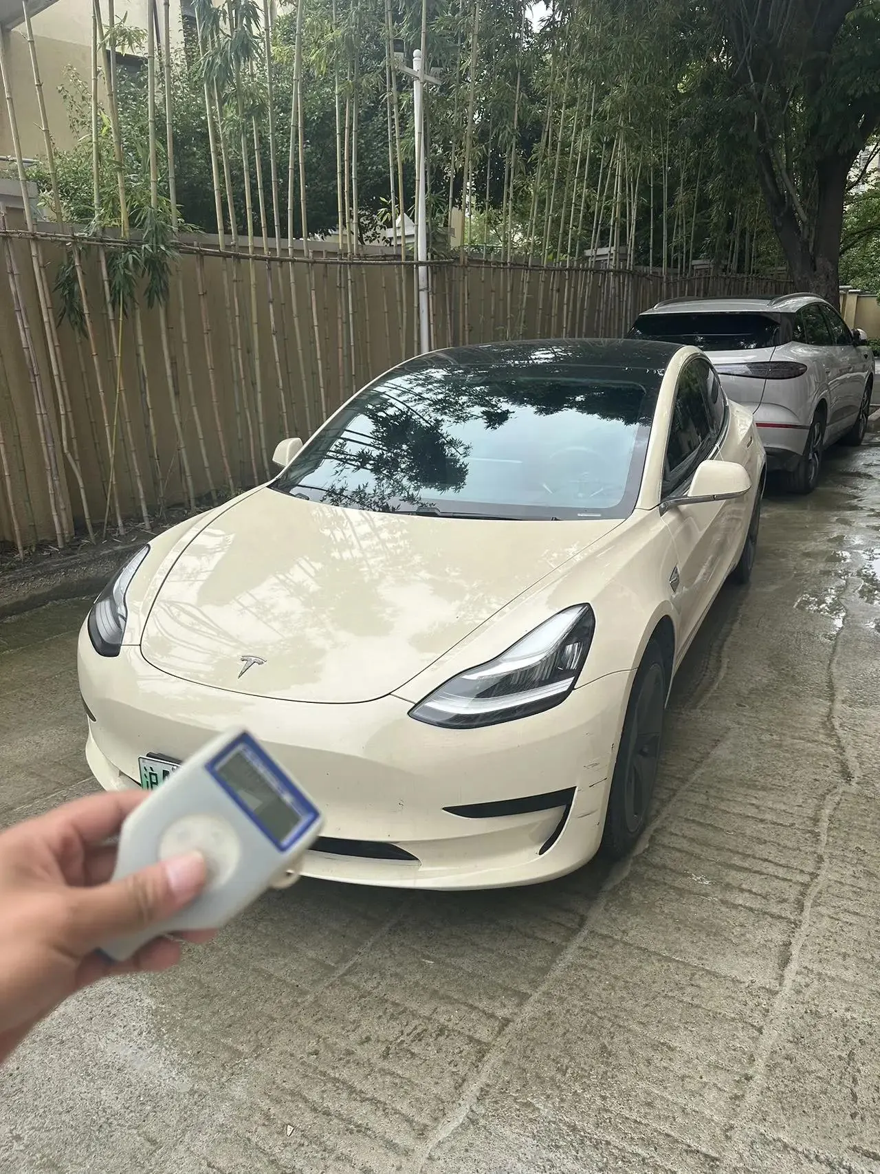 2019 Model 3 Standard Range Rear-Wheel Drive Upgrade Version - View 1