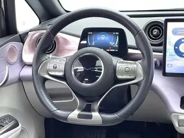 Dolphin 2021 401km Knight Edition 10