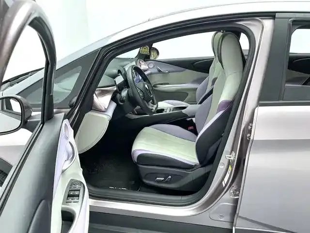 Dolphin 2021 401km Knight Edition 11