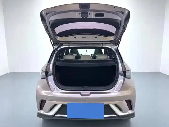 Dolphin 2021 401km Knight Edition 13