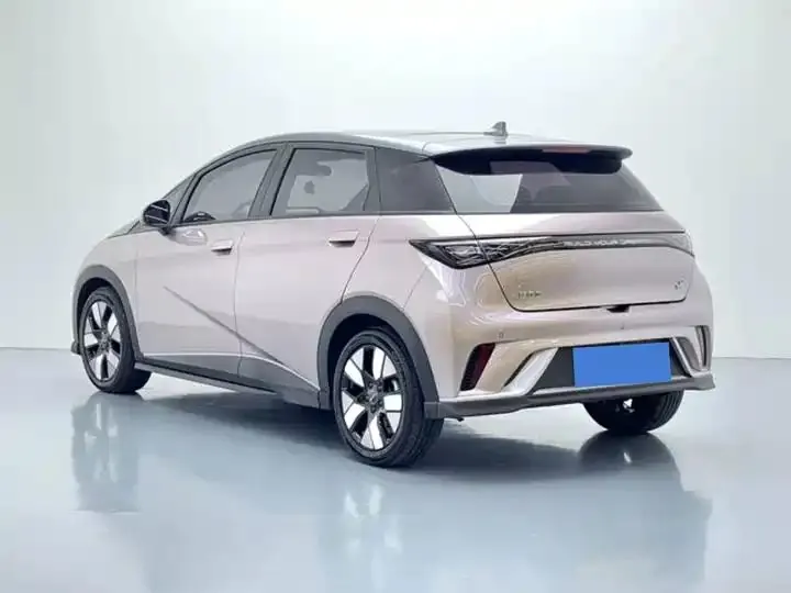 Dolphin 2021 401km Knight Edition 4
