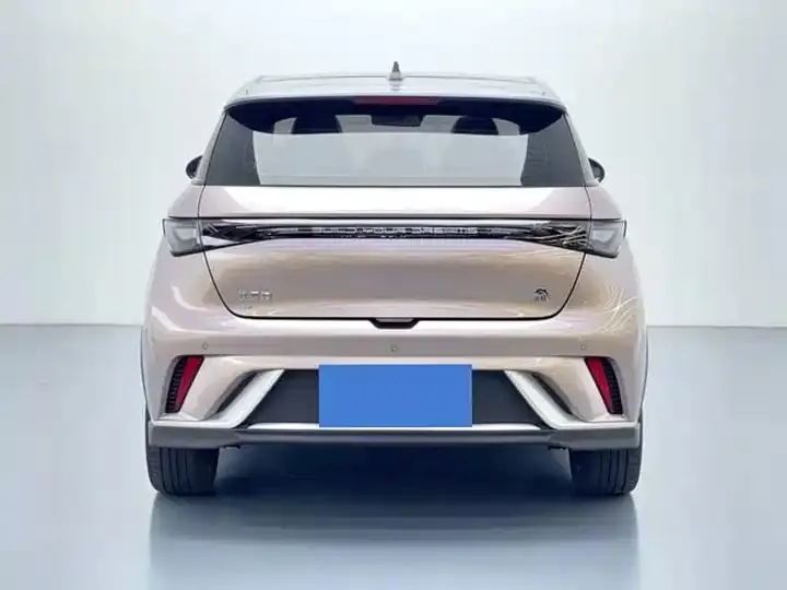 Dolphin 2021 401km Knight Edition 5