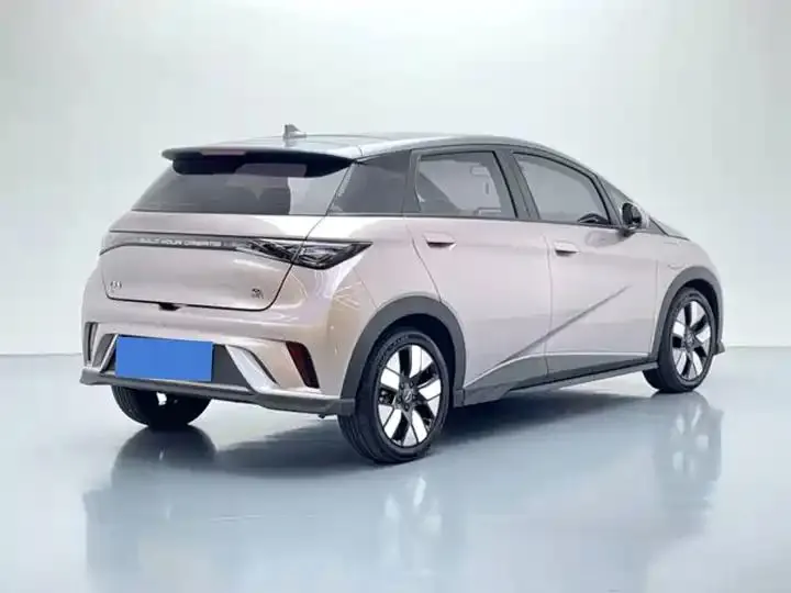 Dolphin 2021 401km Knight Edition 6