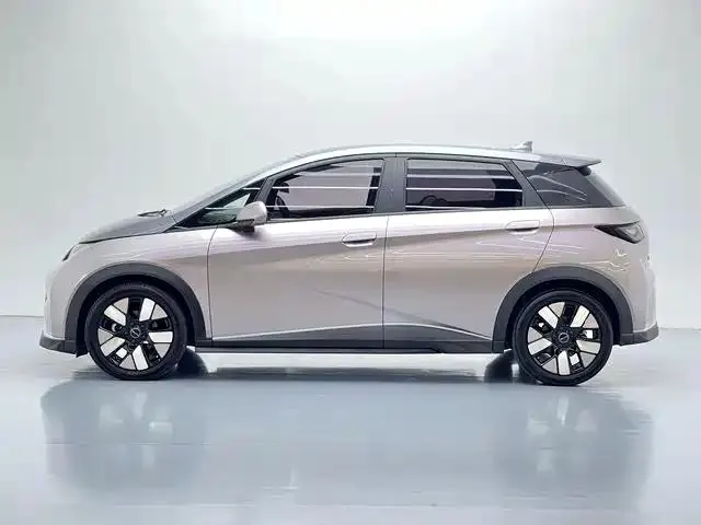 Dolphin 2021 401km Knight Edition 7