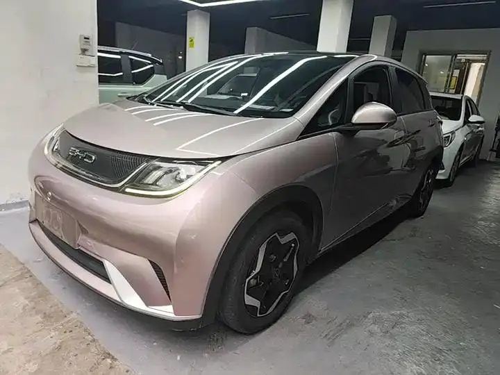 Dolphin 2021, 405 km, Fashion Edition - View 1
