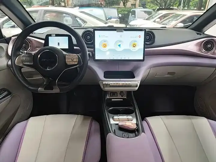 Dolphin 2021, 405 km, Fashion Edition 10