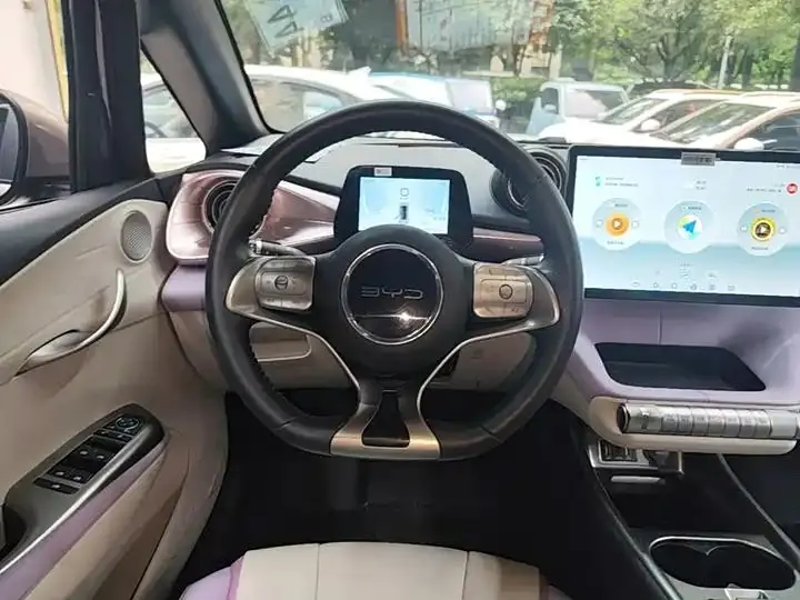Dolphin 2021, 405 km, Fashion Edition 11