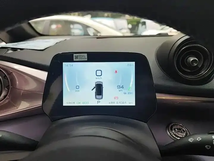 Dolphin 2021, 405 km, Fashion Edition 12