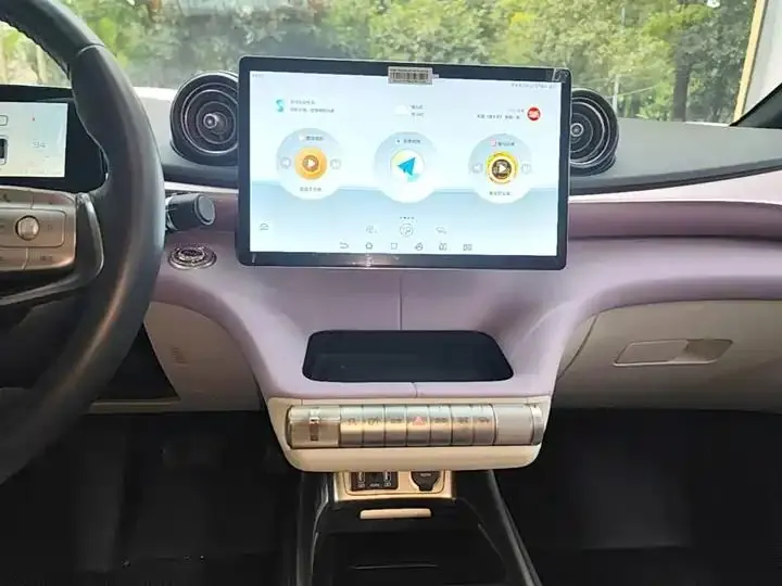 Dolphin 2021, 405 km, Fashion Edition 13