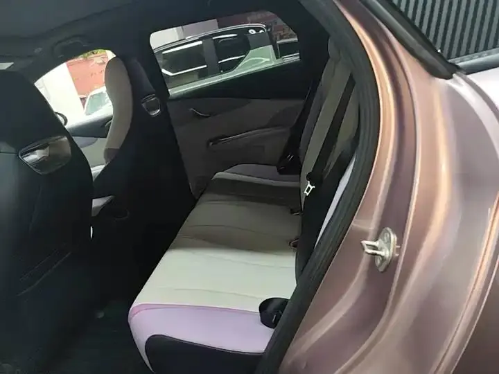 Dolphin 2021, 405 km, Fashion Edition 17