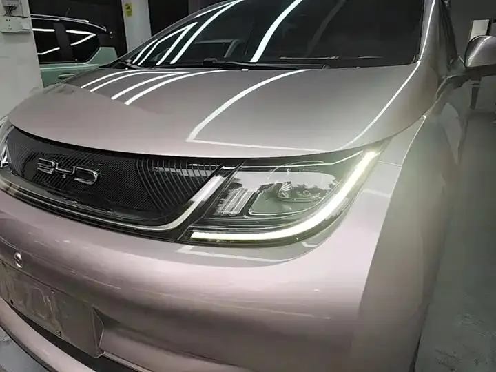 Dolphin 2021, 405 km, Fashion Edition 24
