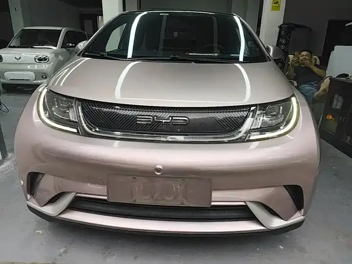 Dolphin 2021, 405 km, Fashion Edition 3