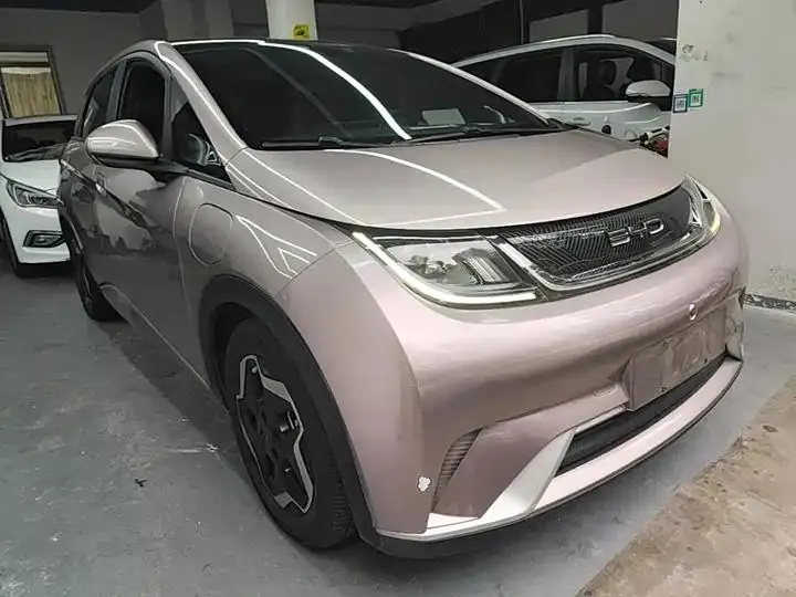 Dolphin 2021, 405 km, Fashion Edition 4