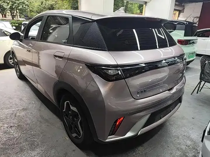 Dolphin 2021, 405 km, Fashion Edition 5