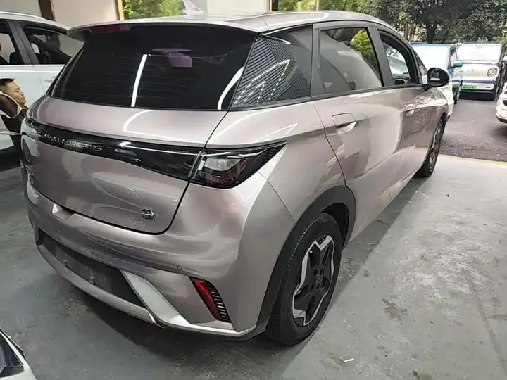 Dolphin 2021, 405 km, Fashion Edition 7