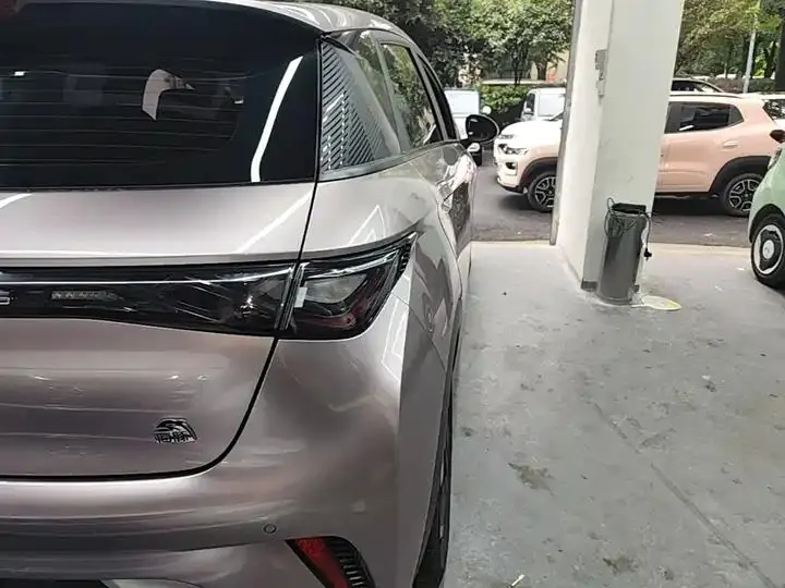 Dolphin 2021, 405 km, Fashion Edition 8