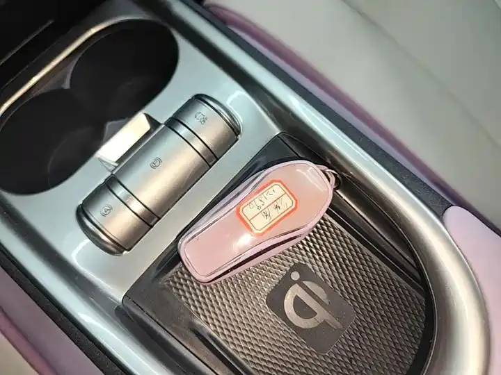 Dolphin 2021, 405 km, Fashion Edition 9