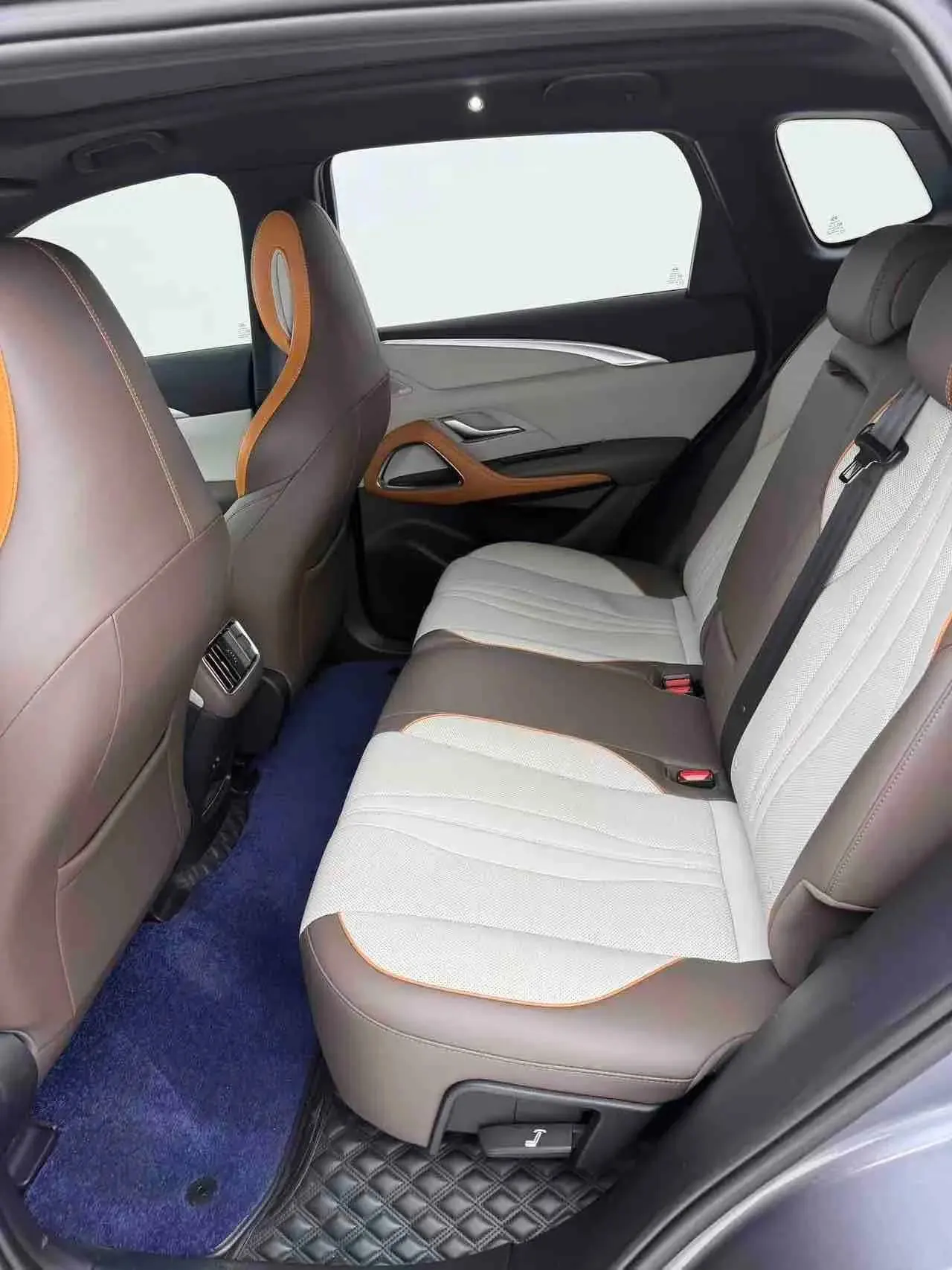 Song Pro New Energy 2022 DM-i 110km Flagship Pro 7